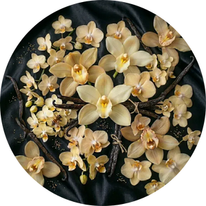 Vanilla